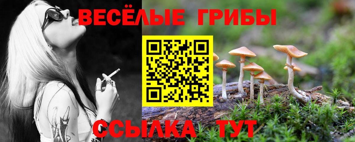Псилоцибиновые грибы мицелий  Вход с VPN  Городец 